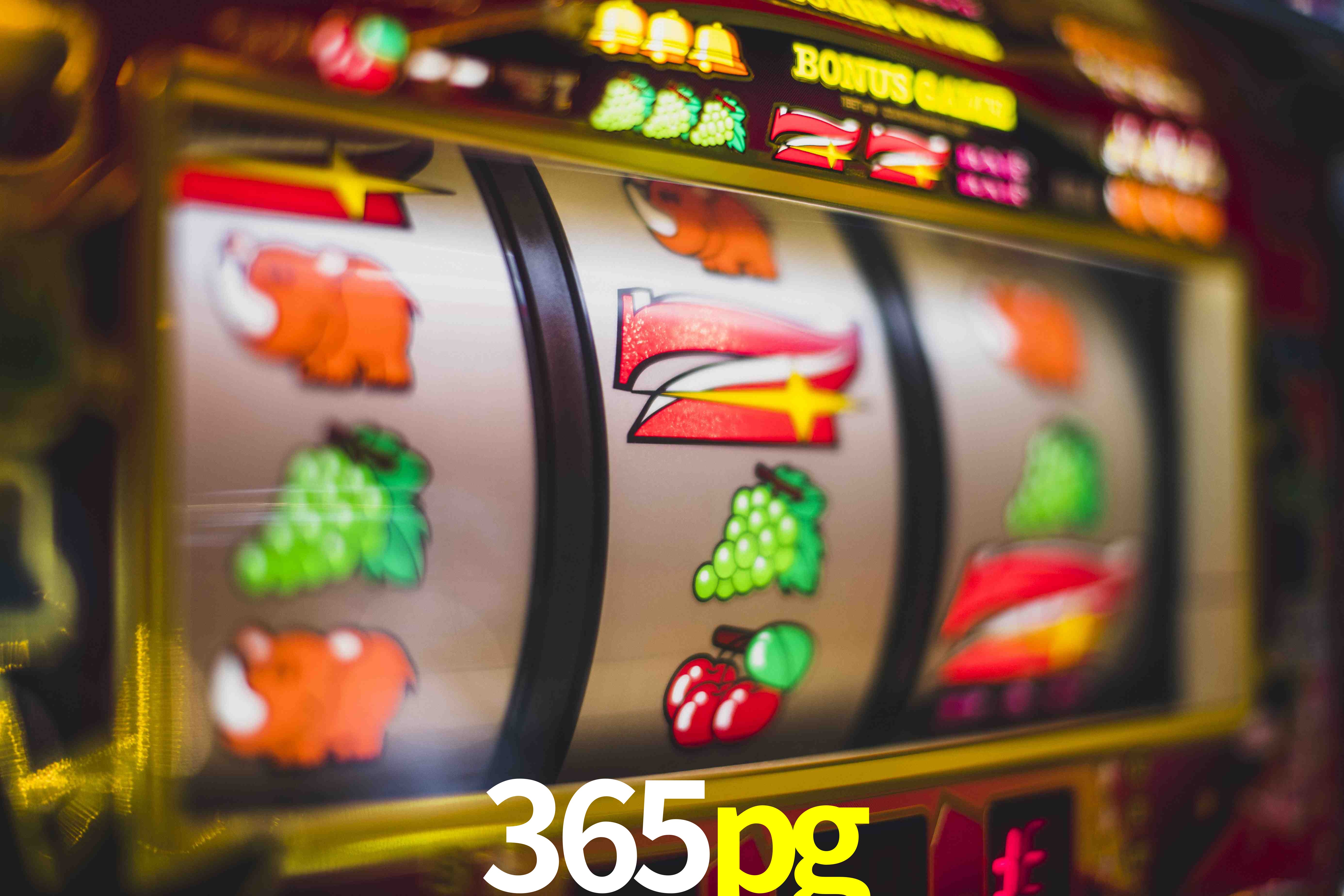 Football Betting 365pg